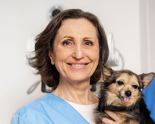 Sobre GAEPA 4 pic 15