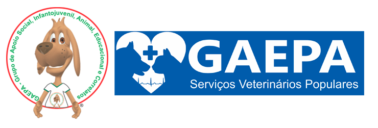 GAEPA participa de evento CEUA Unisinos 3 logo top