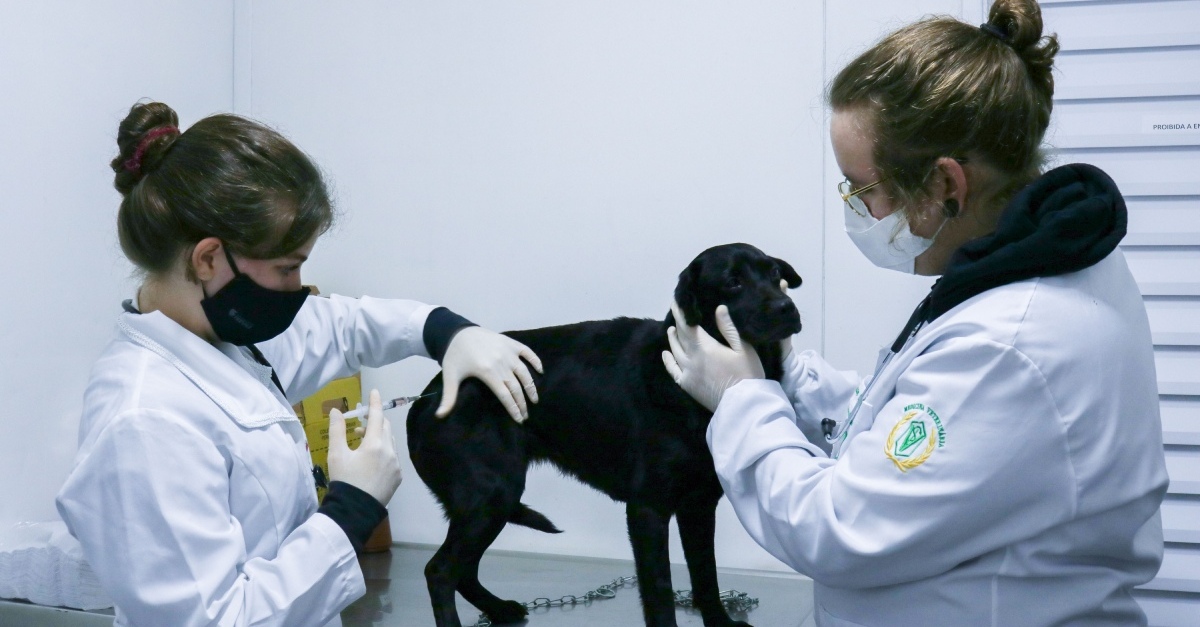 FeevalePet atua no controle e prevenção de doenças e na contenção do crescimento da população felina e canina 75 FEEVALE