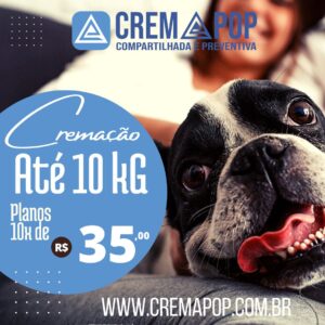 Castração gratuita de cães e gatos em Barra do Ribeiro 4 cremapop ate 10kg
