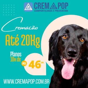 Castração gratuita de cães e gatos em Barra do Ribeiro 5 cremapop plano 20kg