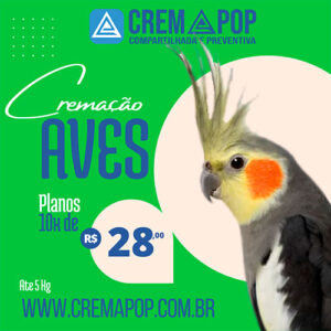 Castração gratuita de cães e gatos em Barra do Ribeiro 6 cremapop-plano-aves