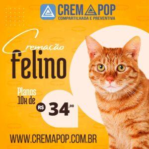 Castração gratuita de cães e gatos em Barra do Ribeiro 3 cremapop plano felino