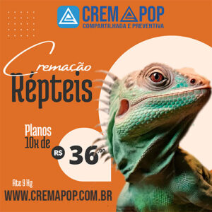 Castração gratuita de cães e gatos em Barra do Ribeiro 7 cremapop-plano-repteis