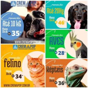 Castração gratuita de cães e gatos em Barra do Ribeiro 2 todos
