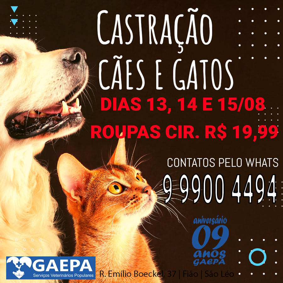 DIAS 13, 14 E 15/08 ROUPAS A 19,99 RESERVE SUA VAGA AGORA!!! 2 banner castra 2024 roupas