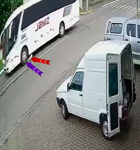 GAEPA move ação por justiça para cães comunitários atropelados 8 frame 06