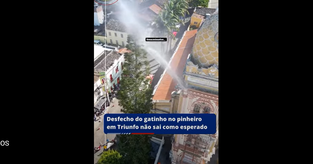 Gato morre em resgate desastroso 10 Captura de tela 2024 11 12 111749