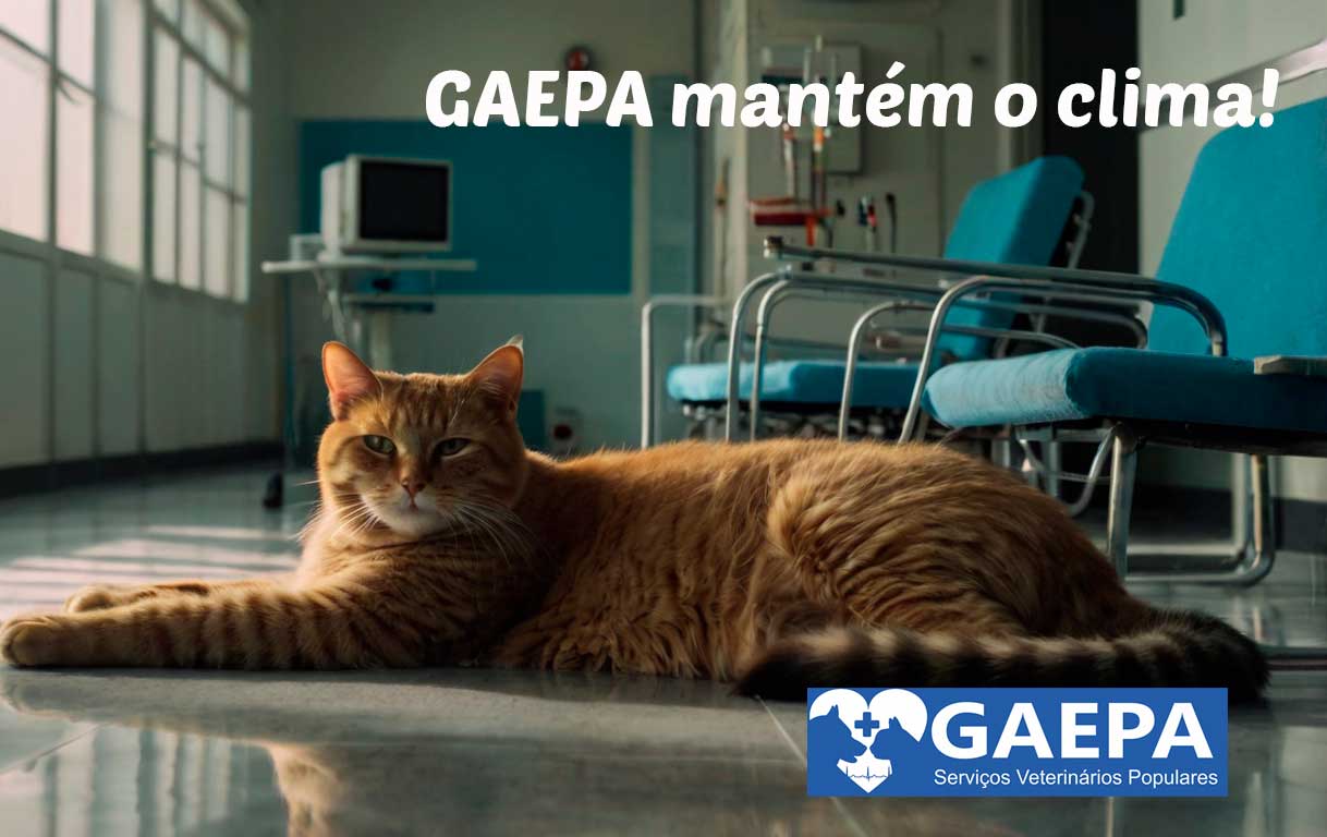 GAEPA com pets em ambiente climatizado 6 gaepa01