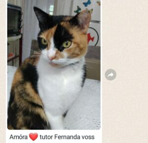 479118952_1026787206156743_1468191334352674654_n