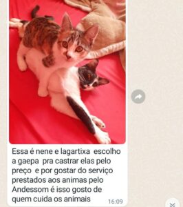 479549185_1026787179490079_8654741576011877676_n