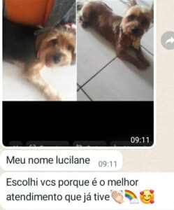 479663314_1026787339490063_2796519063411647465_n