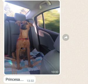 479888850_1026787429490054_898816100623570724_n