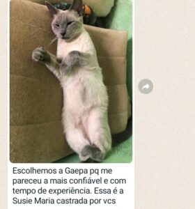 480045968_1026787119490085_1222647258214188409_n