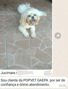 480163825_1026787332823397_9178898543766211800_n