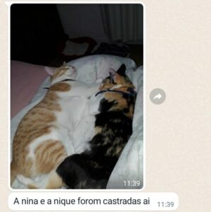 480176546_1026787446156719_6287671249090987217_n