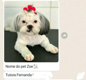 480213830_1026787289490068_6143135973937687337_n