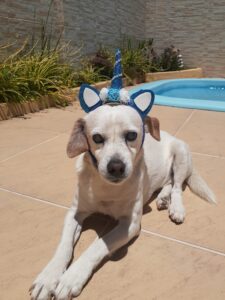 480220512_1026787202823410_7569971429091603253_n