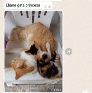 480227482_1026787312823399_5146638583847953202_n