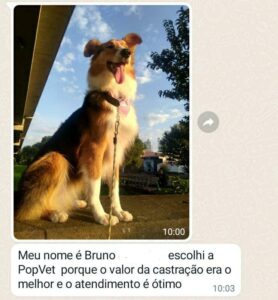 480228450_1026787292823401_5265965429386312110_n