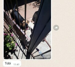 480231868_1026787306156733_4697491102588452958_n