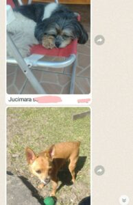 480276721_1026787442823386_9189342296639707105_n