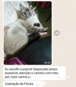 480278264_1026787296156734_4646309329088166624_n