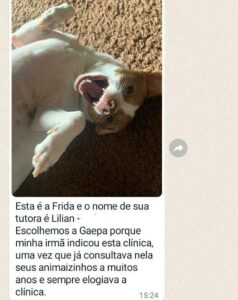 480305408_1026787166156747_4459369706989111807_n