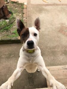 481446404_2961900960641804_1086680276259952008_n