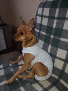 481454357_2961901047308462_8305701967027813220_n