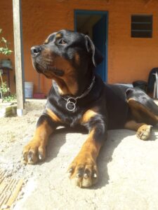 481455480_2961901027308464_7131088248266246186_n