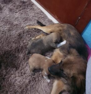 481475940_2961900980641802_441252046122836534_n