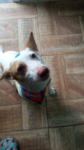 481479470_2961901010641799_7833209761334294469_n