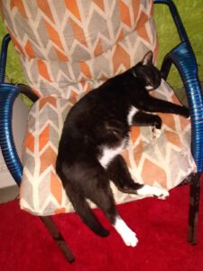 481506429_2961901003975133_1609950536331880868_n