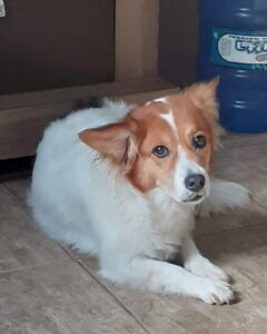 481655788_2961900963975137_1198090838063366226_n