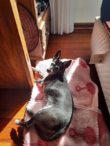 481661594_2961900903975143_4770291709620660576_n