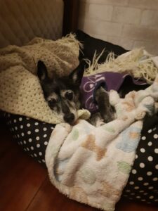 481669740_2961900973975136_7420070556112287344_n