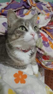 481675017_2961900720641828_1692968377547142465_n