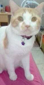 481711633_2961899823975251_2713814333279185988_n