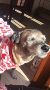 481822587_2961900703975163_2908219137720626770_n