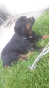 481954446_2961899920641908_713120335704610846_n