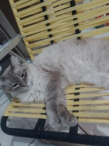 481974996_2961900900641810_4367431659977686036_n