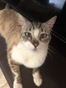 481975454_2961901020641798_7517205246820792431_n