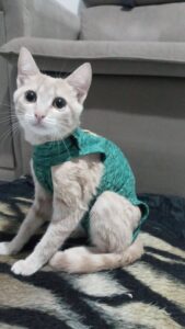 481978687_2961900710641829_5199396575472249932_n