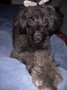 481997076_2961900997308467_448176290098151300_n