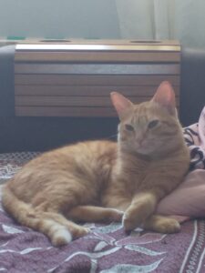 482001470_2961900797308487_4084529826991865544_n