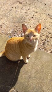 482005769_2961901043975129_6686812462854633577_n