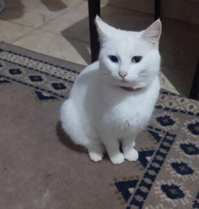 482018407_2961901013975132_7858462182280150641_n