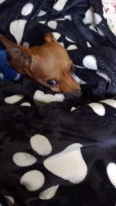 482019846_2961900913975142_7051360936675938778_n