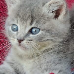 482023322_2961901050641795_4343436902826423623_n